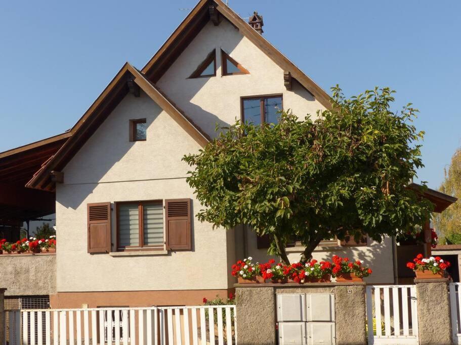 Gite Spacieux Au Coeur De L'Alsace 3*** セレスタ エクステリア 写真