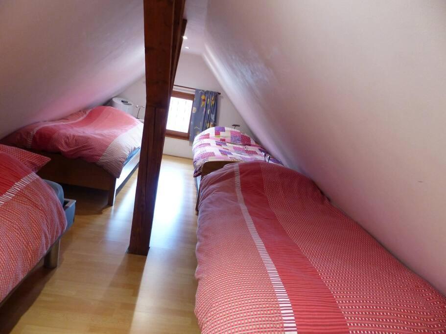 Gite Spacieux Au Coeur De L'Alsace 3*** セレスタ エクステリア 写真